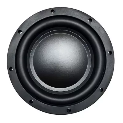AMP by A.Vakhtin SWS-10D2